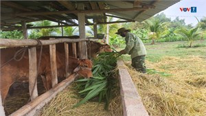 Hàng trăm ngàn đối tượng yếu thế tại Gia Lai vươn lên thoát nghèo (23/08/2024)